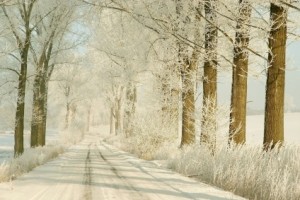 Winter Roads MN